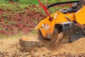 Best Stump Grinding and Removal  in Lakeway, TX