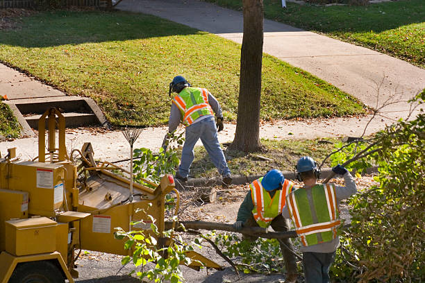 Best Lawn Irrigation Installation and Maintenance  in Lakeway, TX